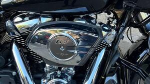 Harley-Davidson Road Glide (2024 - 25) 