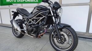 Suzuki SV650 (2021 - 24) 