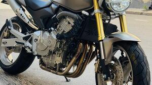 Honda Hornet 600 (2005 - 06) 
