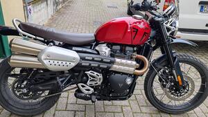 Triumph Scrambler 1200 X (2024 - 25) 