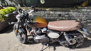 Triumph Scrambler 900 Stealth Edition (2024) 