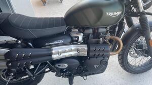 Triumph Street Scrambler 900 (2021 - 22) 