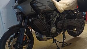 Harley-Davidson Pan America 1250 Special (2020 - 25) 