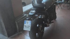 Benelli Leoncino 800 (2022 - 25) 