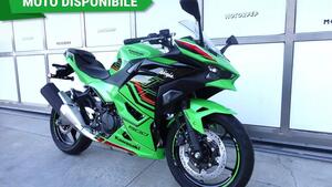 Kawasaki Ninja 500 SE (2024 - 25) 