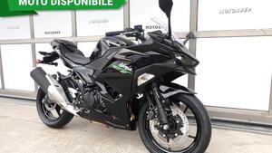 Kawasaki Ninja 500 (2024 - 25) 