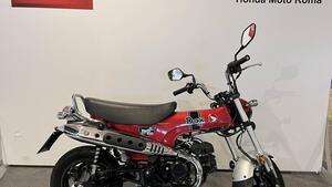 Honda Dax 125 (2023 - 24) 