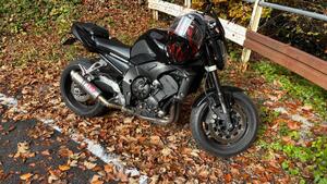 Yamaha FZ1 (2006 - 16) 