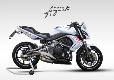 Kawasaki ER-6N (2006 - 09) - Annuncio 9700194
