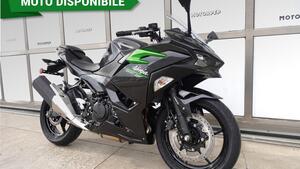 Kawasaki Ninja 500 (2024 - 25) 