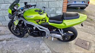 Triumph Speed Triple 955 (2002 - 04) usata