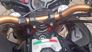Benelli TNT 1130 (2004 - 08) 