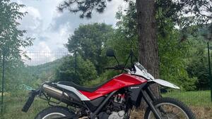 Husqvarna TR 650 Terra ABS (2012 - 13) 