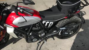 Ducati Scrambler 800 Icon (2023 - 25) 