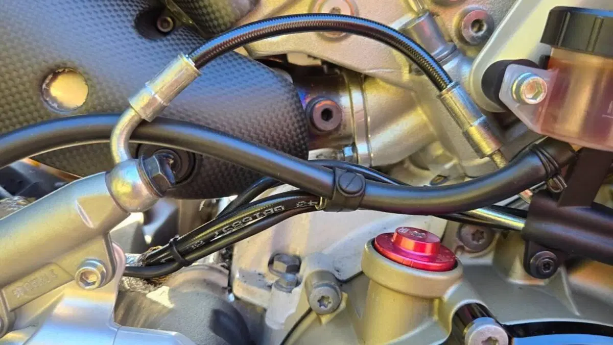 Ducati Panigale V4 1100 (2020)  (8)