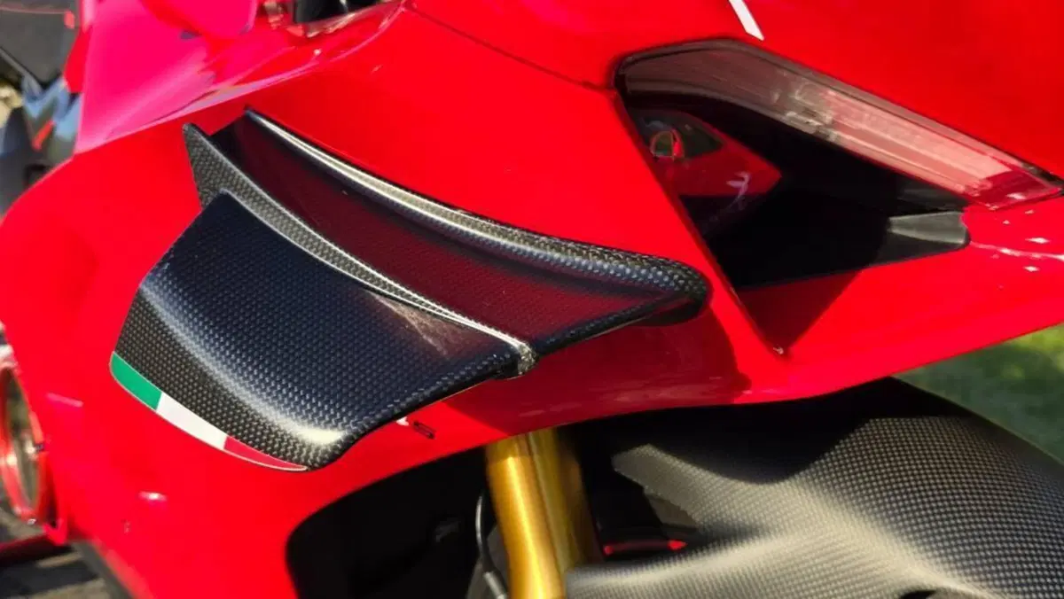 Ducati Panigale V4 1100 (2020)  (17)