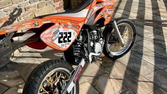 Betamotor RR 50 Motard (2000 - 05) usata