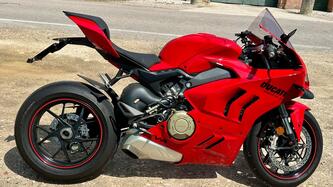 Ducati Panigale V4 (2022 - 24) usata
