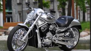 Harley-Davidson 1250 V-Rod (2008 - 12) - VRSCAW 