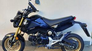 Honda MSX 125 (2013 - 15) 