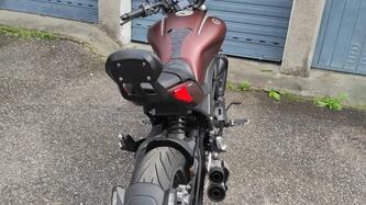 Benelli 502 C (2021 - 25) usata