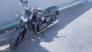 Triumph Speed Twin 900 (2023 - 24) 