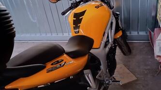 Suzuki SV 650 (1999 - 02) usata