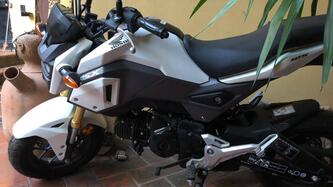 Honda MSX 125 (2016 - 17) usata