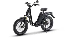 Fantic Motor Issimo 45 (2022 - 26)  (2)