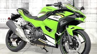 Kawasaki Ninja 500 SE (2024 - 25) nuova