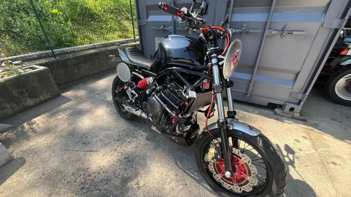 Kawasaki Versys 650 (2006 - 09)  (12)