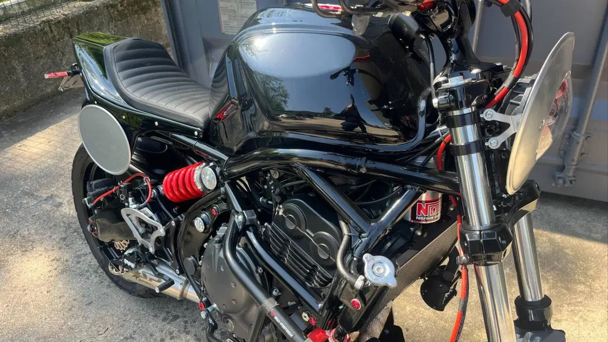 Kawasaki Versys 650 (2006 - 09)  (13)