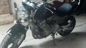 Honda Hornet 600 (2003 - 04) 