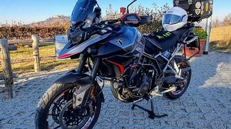 Triumph Tiger 900 GT Pro (2024 - 25) usata