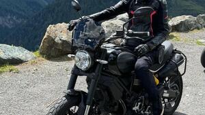 Ducati Scrambler 1100 (2018 - 20) 