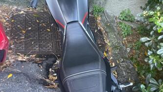Benelli Leoncino 125 (2022 - 25)