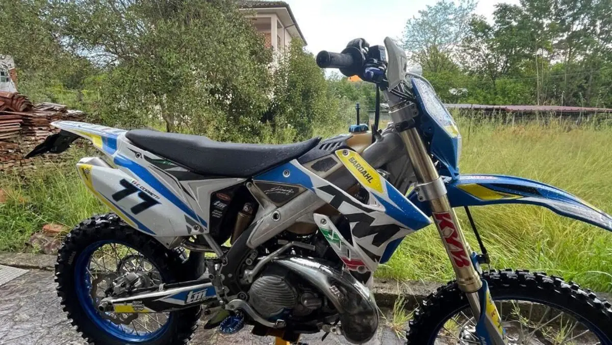 Tm Moto EN 300 Es 2t (2020)  (5)