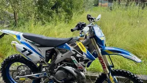 Tm Moto EN 300 Es 2t (2020)  (6)