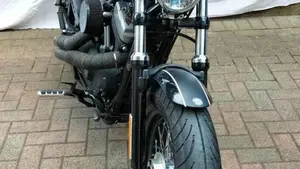 Harley-Davidson 1200 Forty-Eight (2010 - 15)  (3)