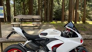 Ducati Panigale V2 955 (2020) 