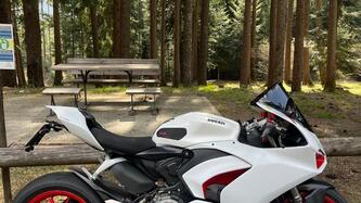 Ducati Panigale V2 955 (2020) usata