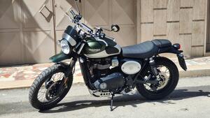 Triumph Street Scrambler 900 (2019 - 20) 