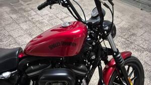 Harley-Davidson 883 Iron (2012 - 14) - XL 883N 
