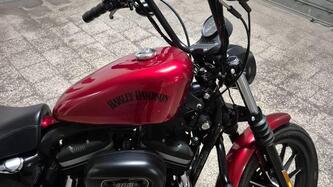 Harley-Davidson 883 Iron (2012 - 14) - XL 883N usata