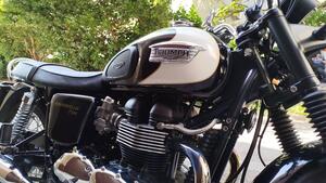 Triumph Bonneville T100 (2008 - 16) 