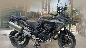 Benelli 502 C (2021 - 25) 