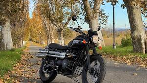 Triumph Scrambler (2006 - 17) 