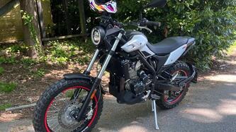 Betamotor Alp X (2024 - 25)