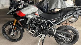 Triumph Tiger 900 Rally Pro (2024 - 25) usata