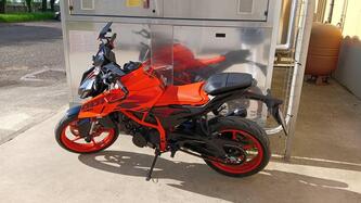 KTM 390 Duke (2024 - 25) usata